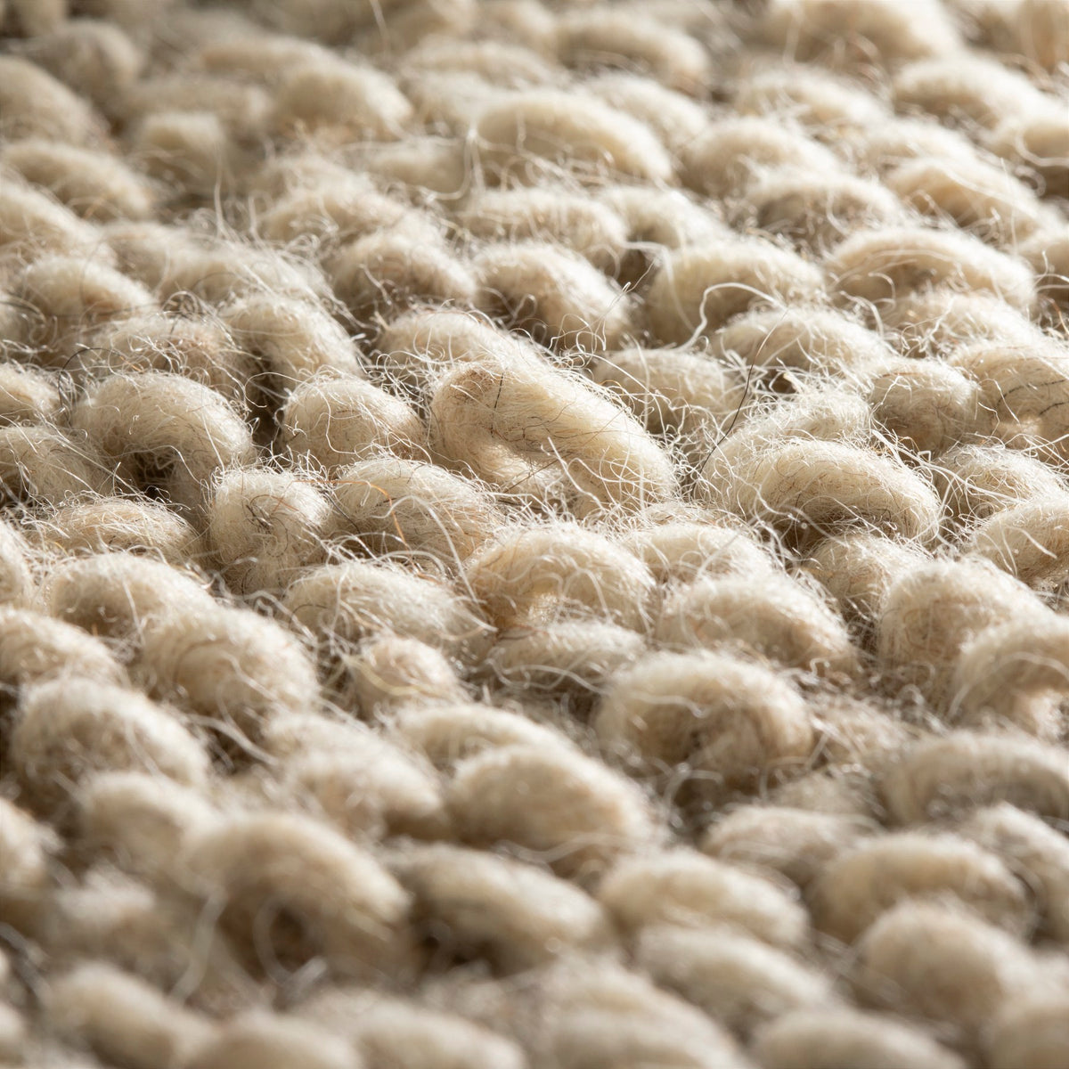 JAB Anstoetz Loop Teppichboden | Farbe: Sand Dunkel (279) | Raumansicht