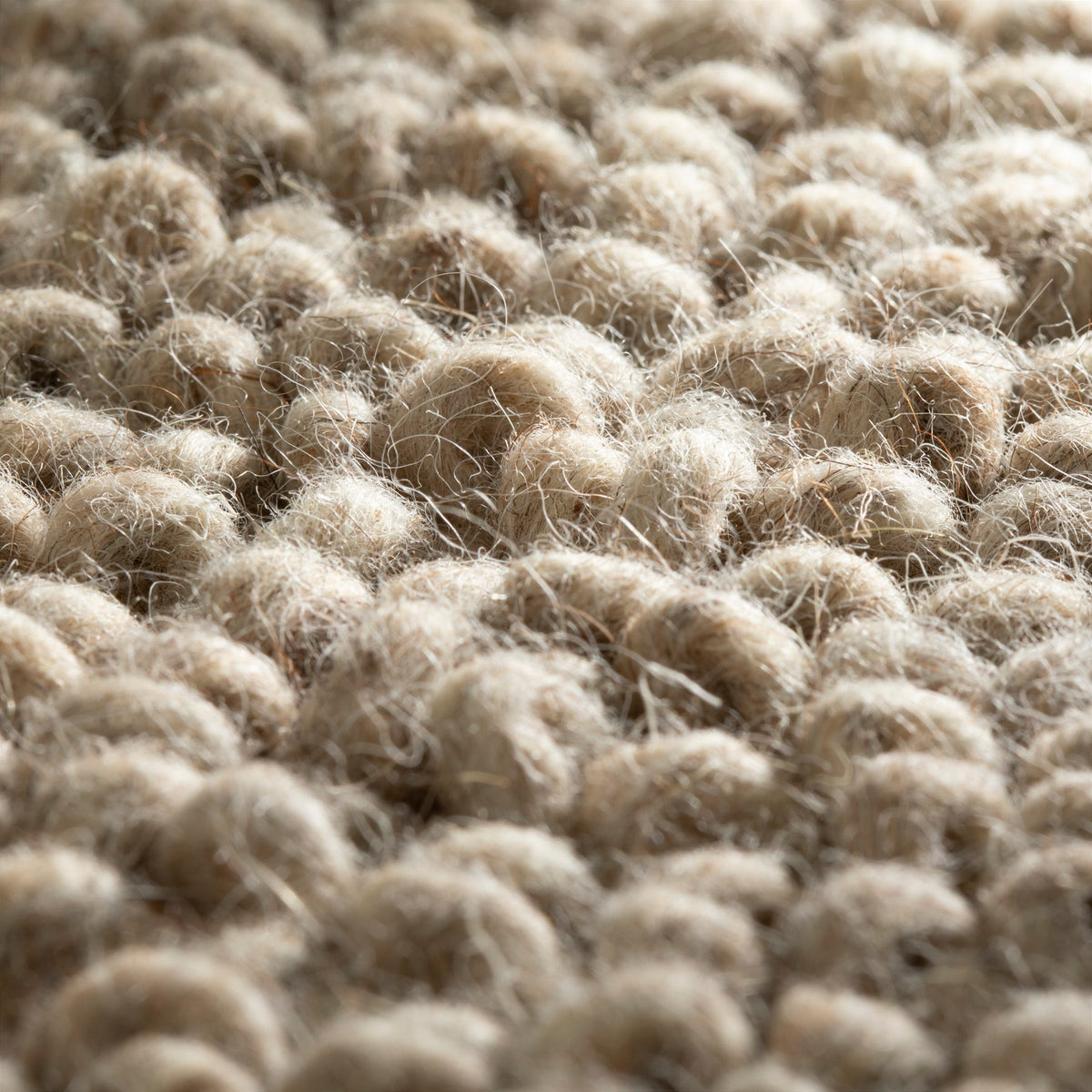 JAB Anstoetz Loop Teppichboden | Farbe: Taupe Hell (378) | Raumansicht