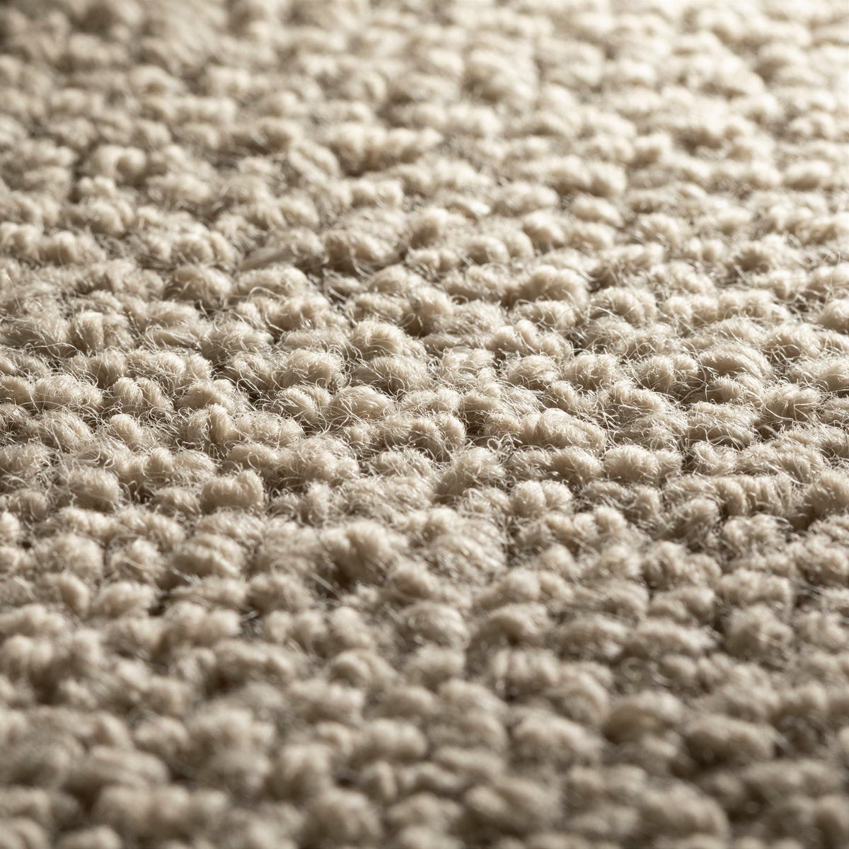 JAB Anstoetz Luna Teppichboden | Farbe: Taupe (273) | Raumansicht