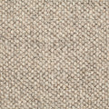 Sand Dunkel (125)