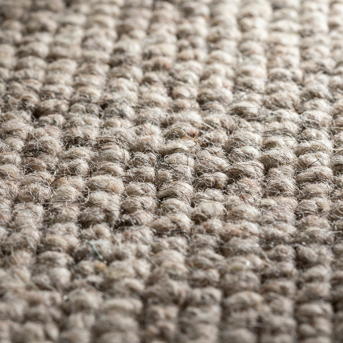 JAB Anstoetz Yak Teppichboden | Farbe: Taupe (372) | Raumansicht