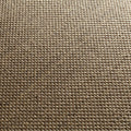 Dunkeltaupe (374)