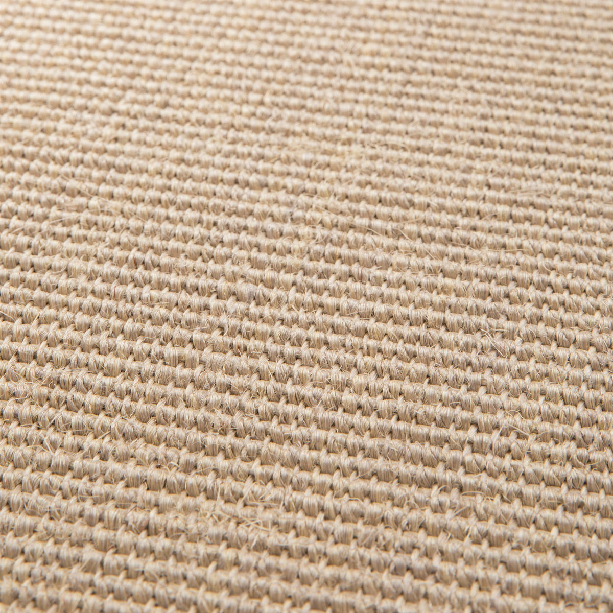 JAB Anstoetz Jamaica Teppichboden | Farbe: Sand (093) | Raumansicht