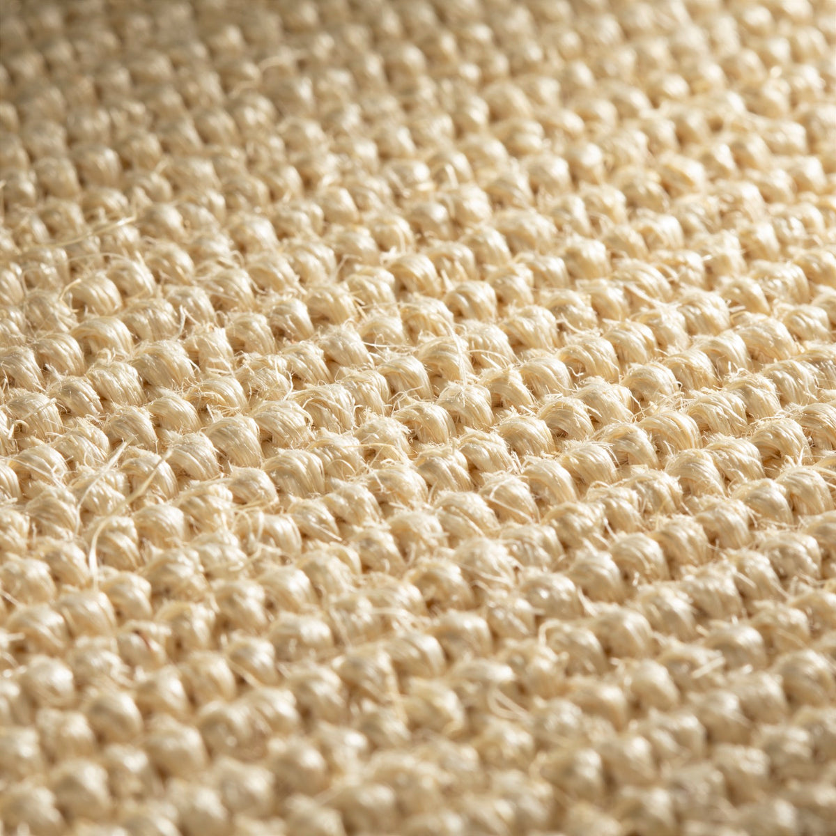 JAB Anstoetz Jamaica Teppichboden | Farbe: Honig (097) | Raumansicht