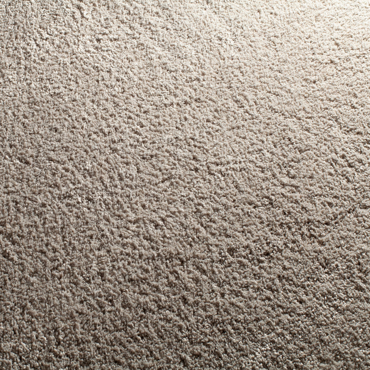 JAB Anstoetz Moonlight Teppichboden | Farbe: Taupe Hell (393)