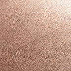 JAB Anstoetz Kiss Teppichboden | Farbe: Nougat Hell (060)