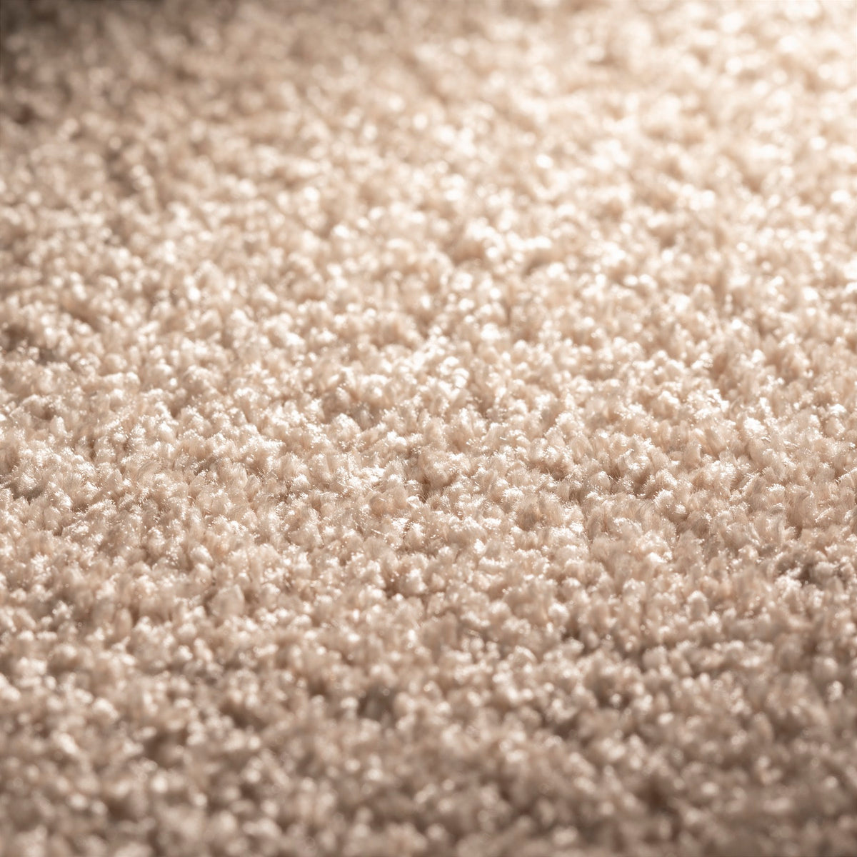 JAB Anstoetz Mystic Teppichboden | Farbe: Sand (175) | Raumansicht