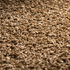 JAB Anstoetz Mystic Teppichboden | Farbe: Braun (324) | Raumansicht