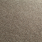JAB Anstoetz Hub Teppichboden | Farbe: Dunkeltaupe (475)