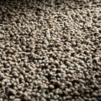 JAB Anstoetz Hub Teppichboden | Farbe: Dunkeltaupe (475) | Raumansicht