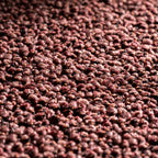JAB Anstoetz Hub Teppichboden | Farbe: Bordeaux (566) | Raumansicht