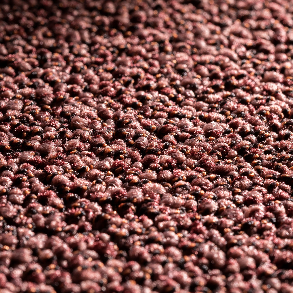 JAB Anstoetz Hub Teppichboden | Farbe: Bordeaux (566) | Raumansicht