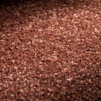 JAB Anstoetz Meta Teppichboden | Farbe: Rost (669) | Raumansicht