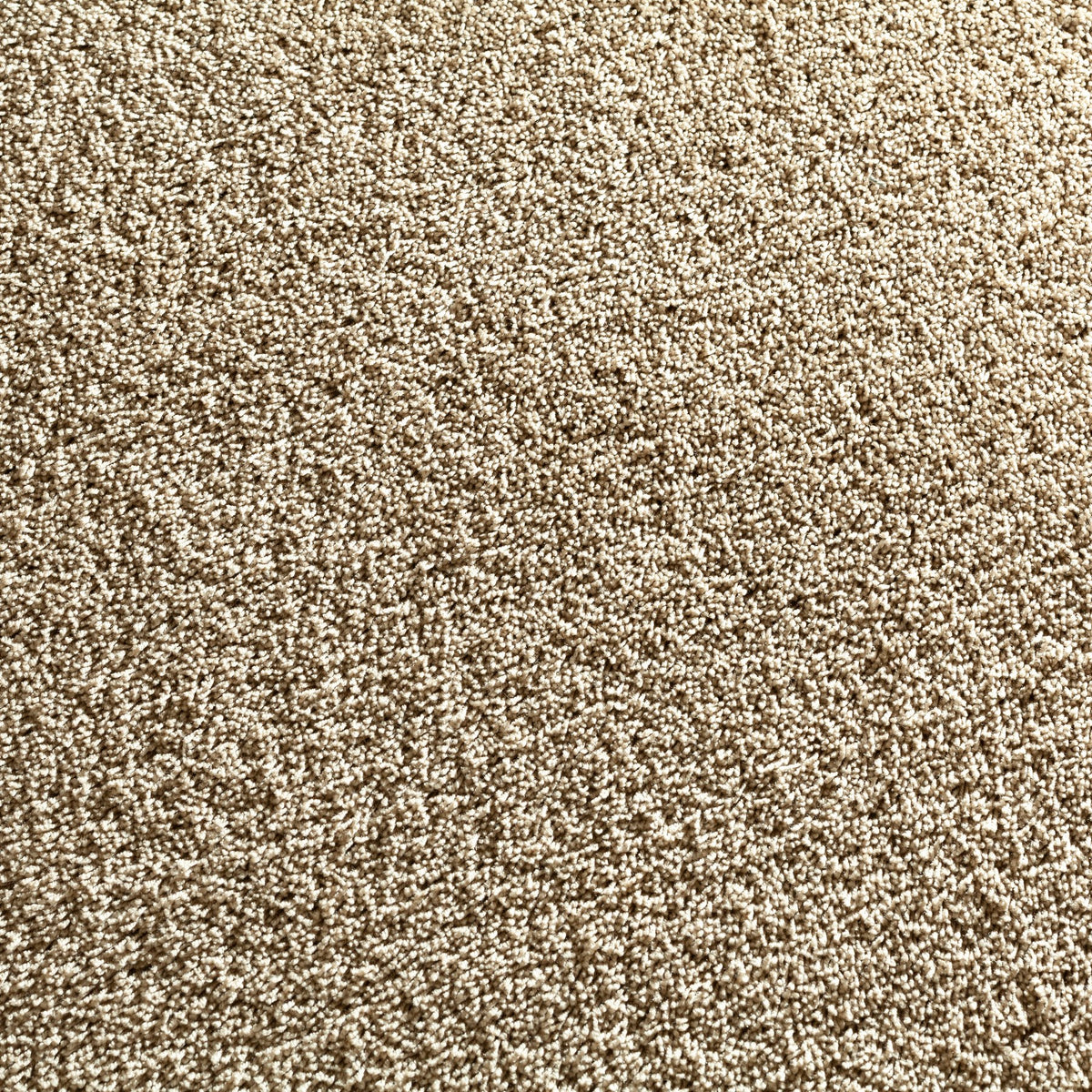 JAB Anstoetz Cocoon Teppichboden | Farbe: Taupe Dunkel (020)