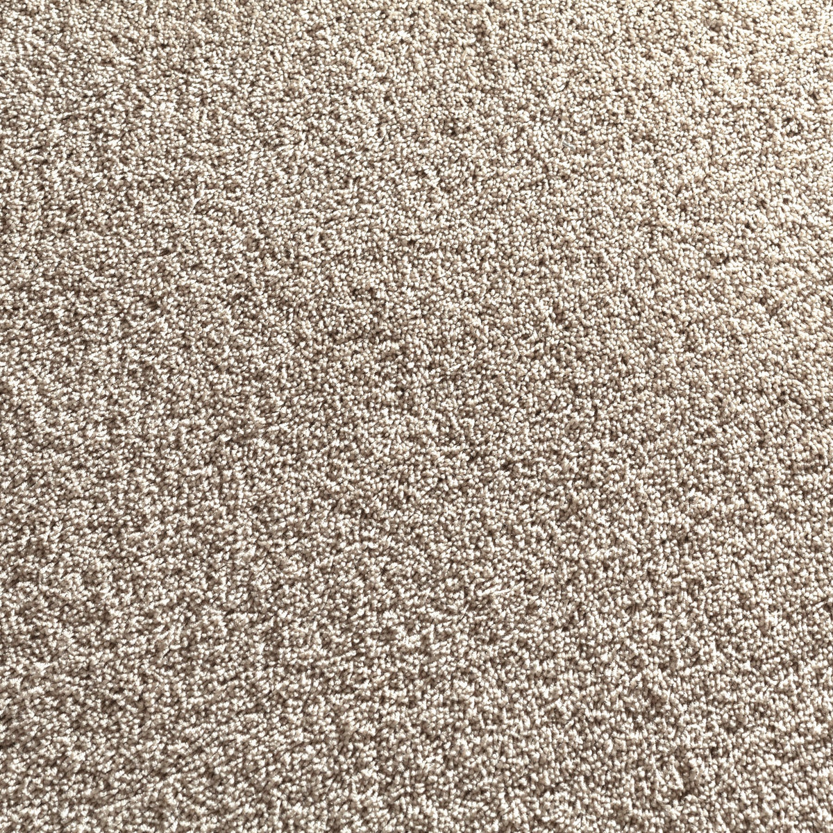 JAB Anstoetz Cocoon Teppichboden | Farbe: Taupe Hell (095)