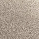 Taupe Hell (095)