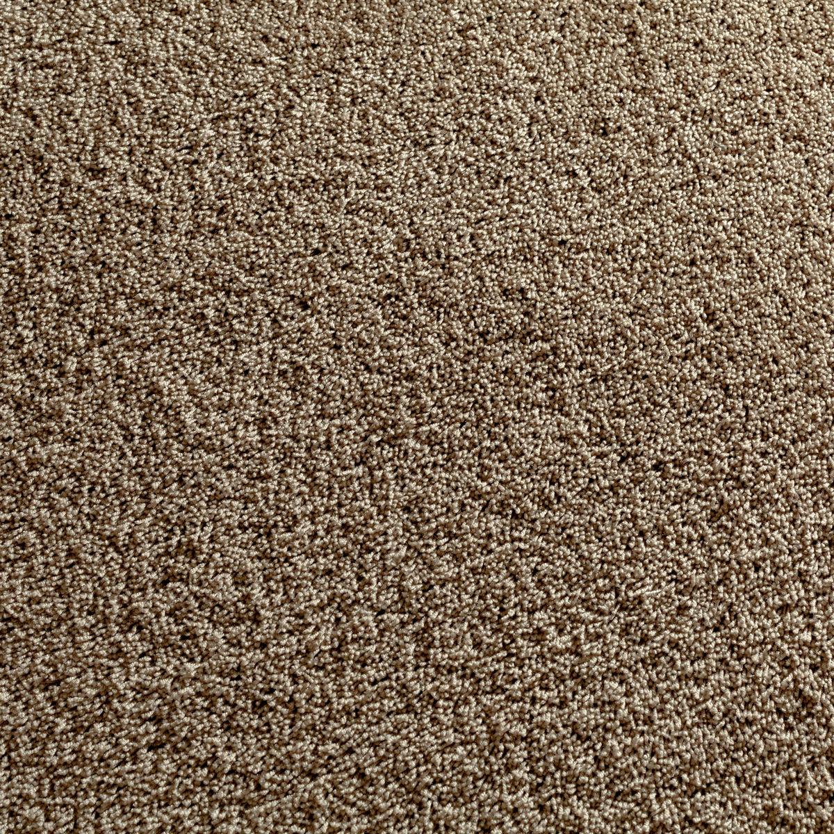 JAB Anstoetz Cocoon Teppichboden | Farbe: Haselnuss (327)