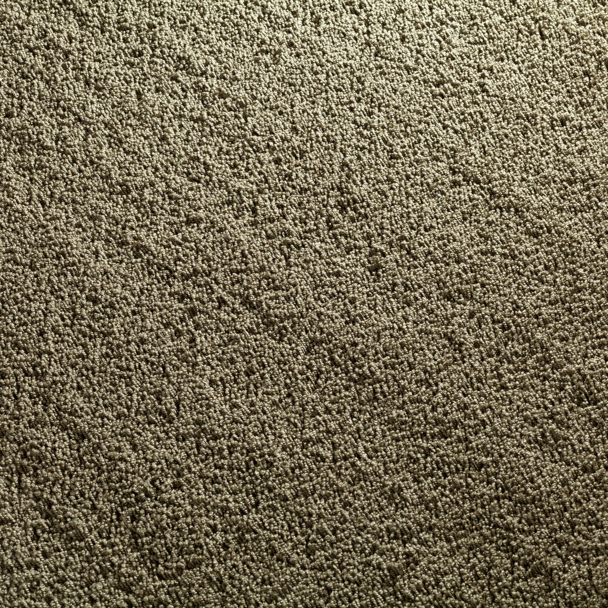 JAB Anstoetz Cocoon Teppichboden | Farbe: Dunkeltaupe (533)