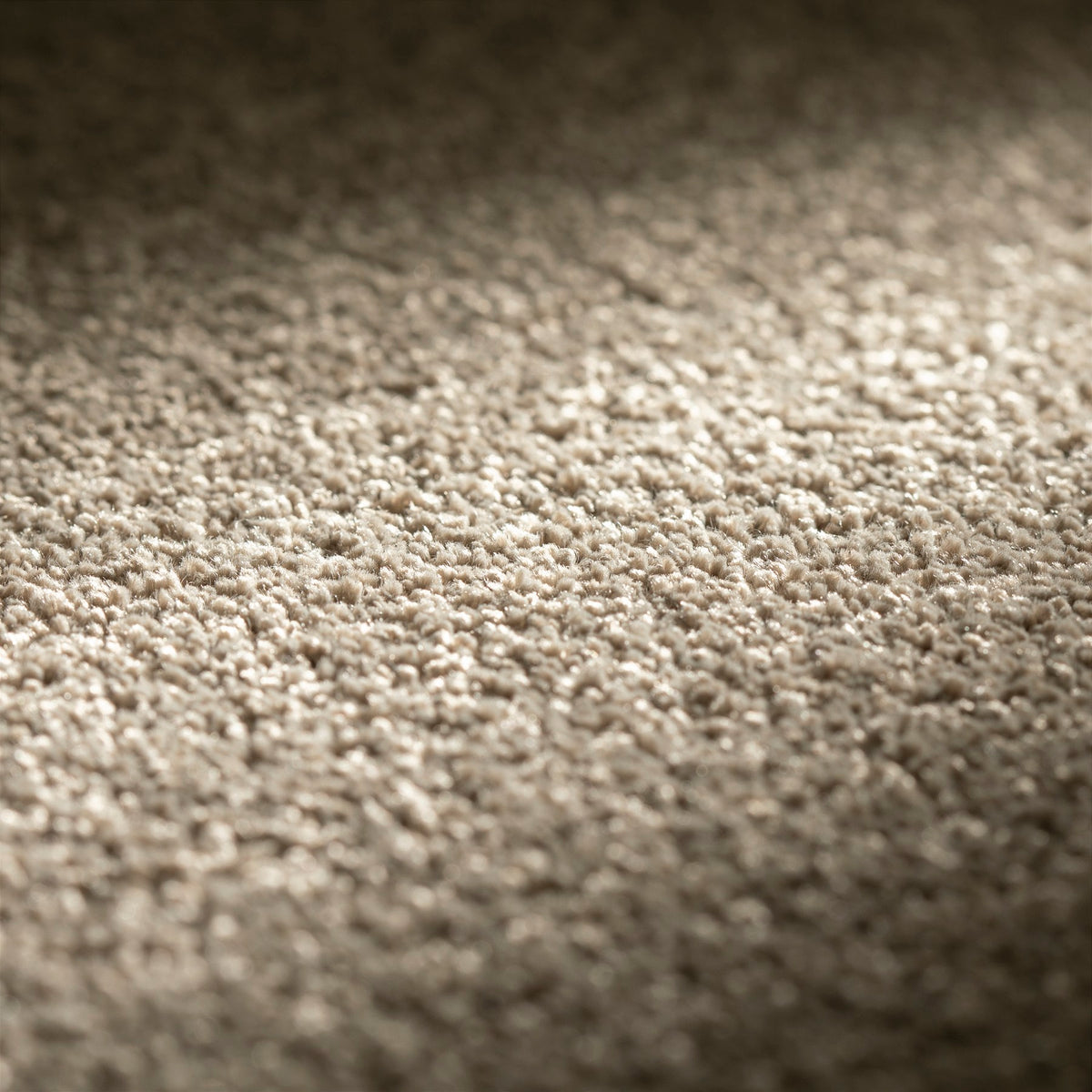 JAB Anstoetz Sky Teppichboden | Farbe: Taupe (428) | Raumansicht