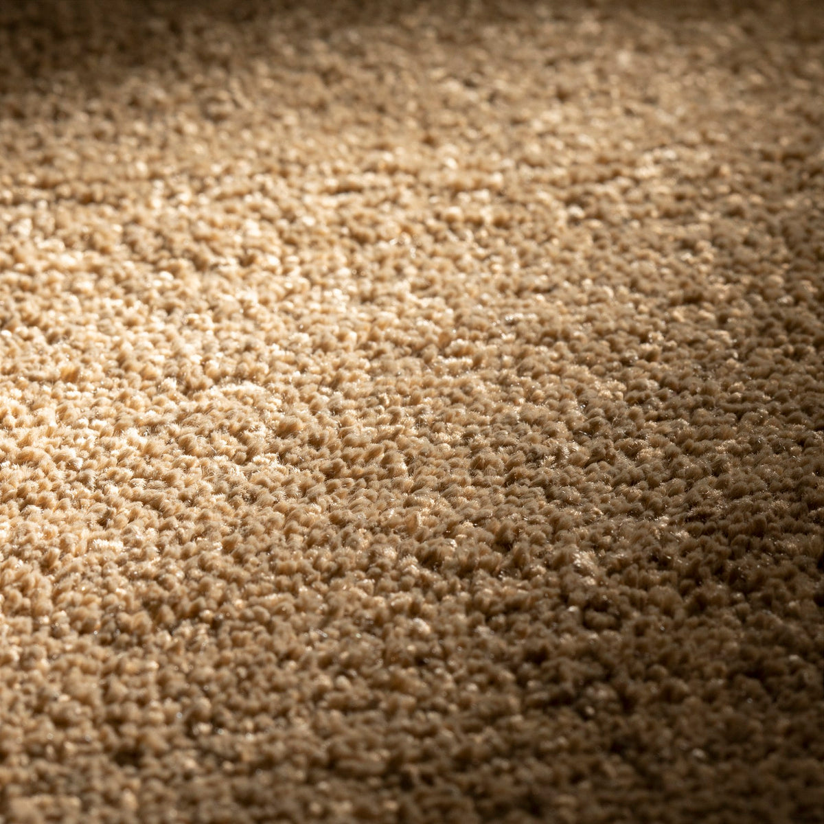 JAB Anstoetz Sky Teppichboden | Farbe: Nougat (527) | Raumansicht