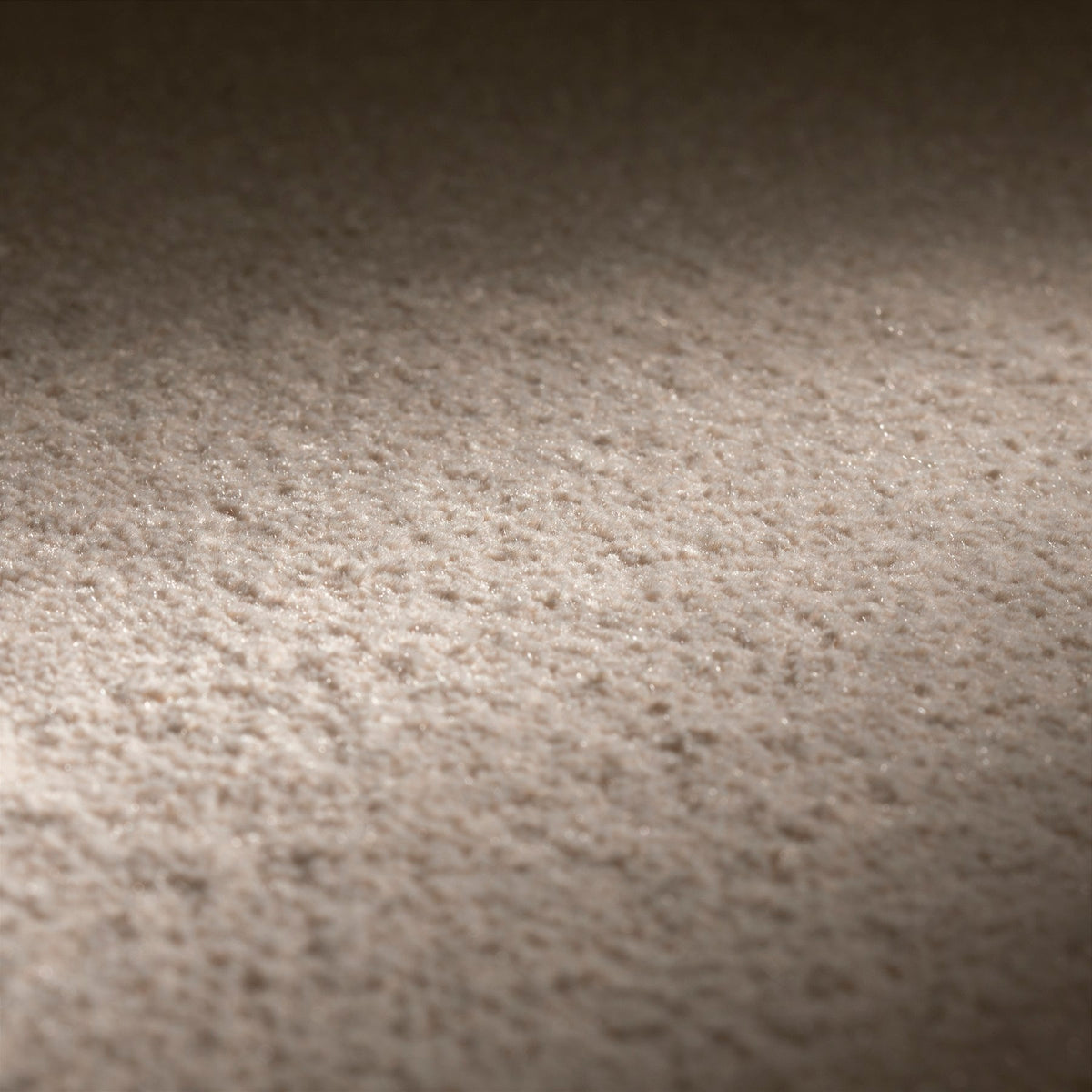 JAB Anstoetz Essential Teppichboden | Farbe: Sand (169) | Raumansicht