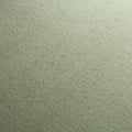 Taupe Hell (334)