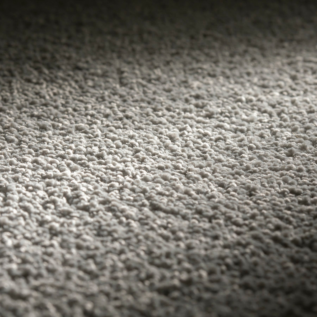 JAB Anstoetz Earth Teppichboden | Farbe: Silbergrau (090) | Raumansicht
