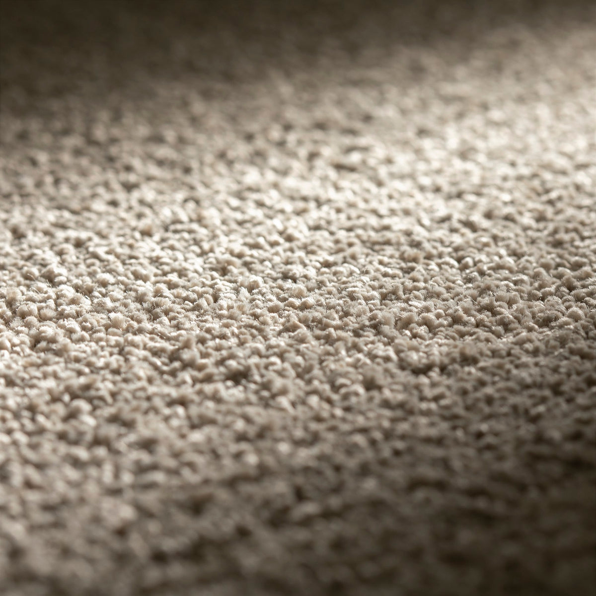 JAB Anstoetz Earth Teppichboden | Farbe: Greige (371) | Raumansicht