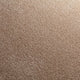 Taupe (470)