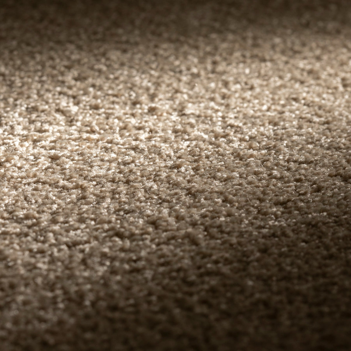 JAB Anstoetz Plaza SD Teppichboden | Farbe: Taupe (470) | Raumansicht