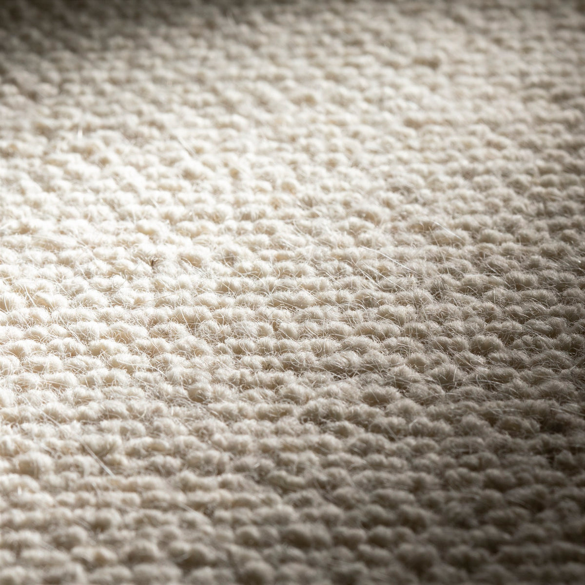 JAB Anstoetz Goat Teppichboden | Farbe: Beige Hell (194) | Raumansicht