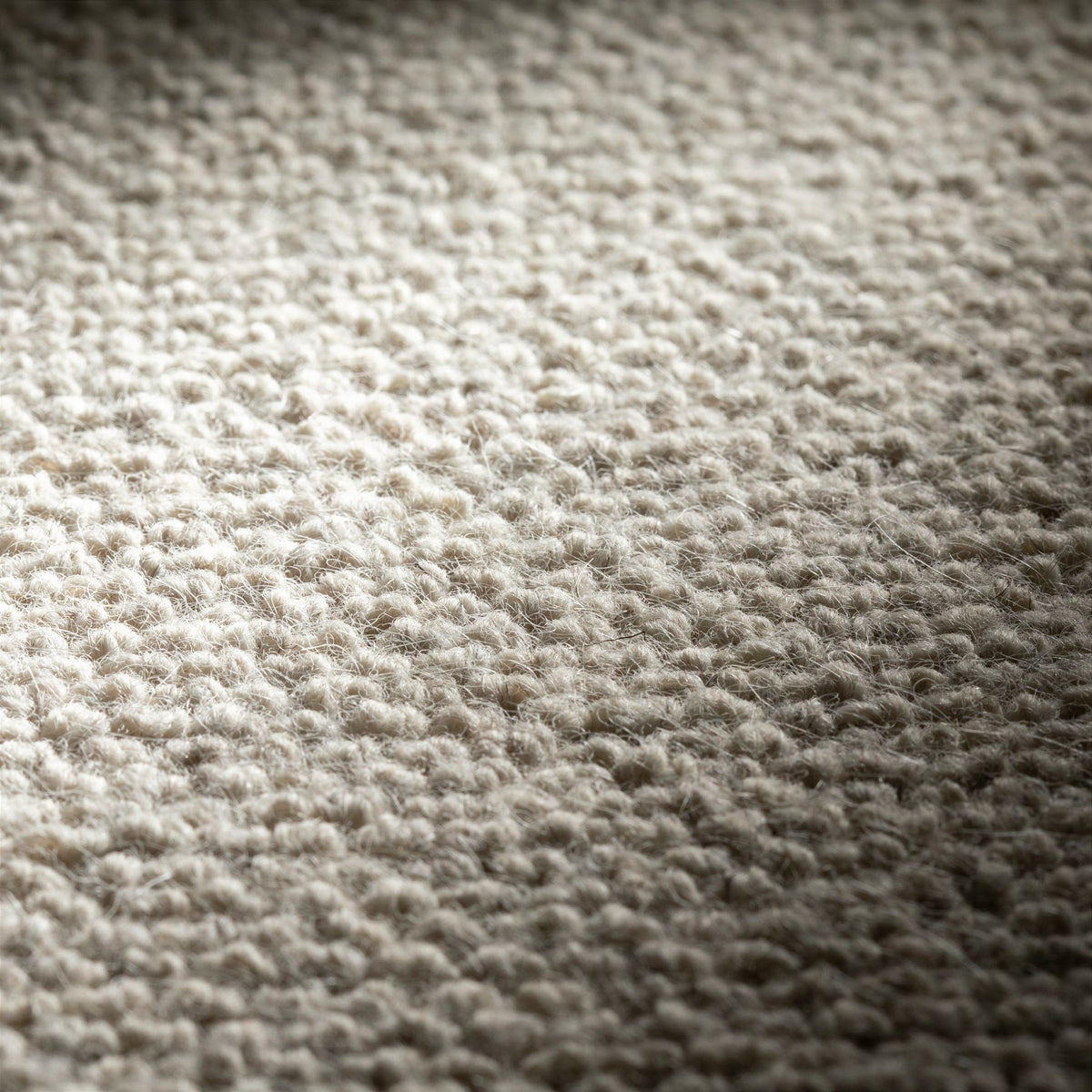 JAB Anstoetz Goat Teppichboden | Farbe: Greige (293) | Raumansicht