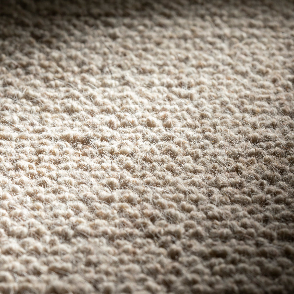 JAB Anstoetz Goat Teppichboden | Farbe: Beige Dunkel (475) | Raumansicht