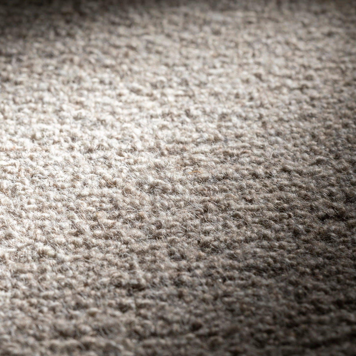 JAB Anstoetz Alpaca Teppichboden | Farbe: Greige Dunkel (497) | Raumansicht