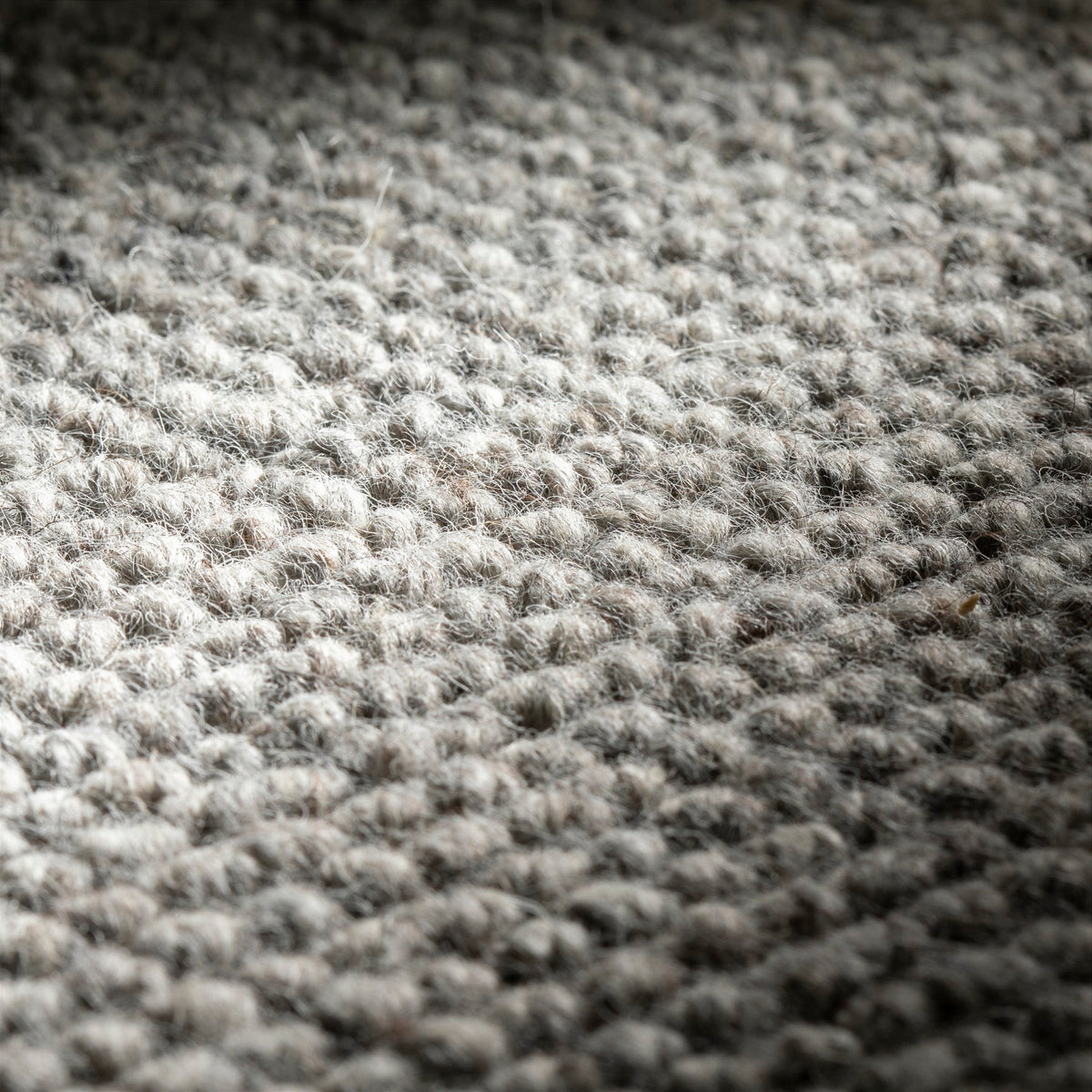 JAB Anstoetz Dot Teppichboden | Farbe: Silbergrau Dunkel (597) | Raumansicht