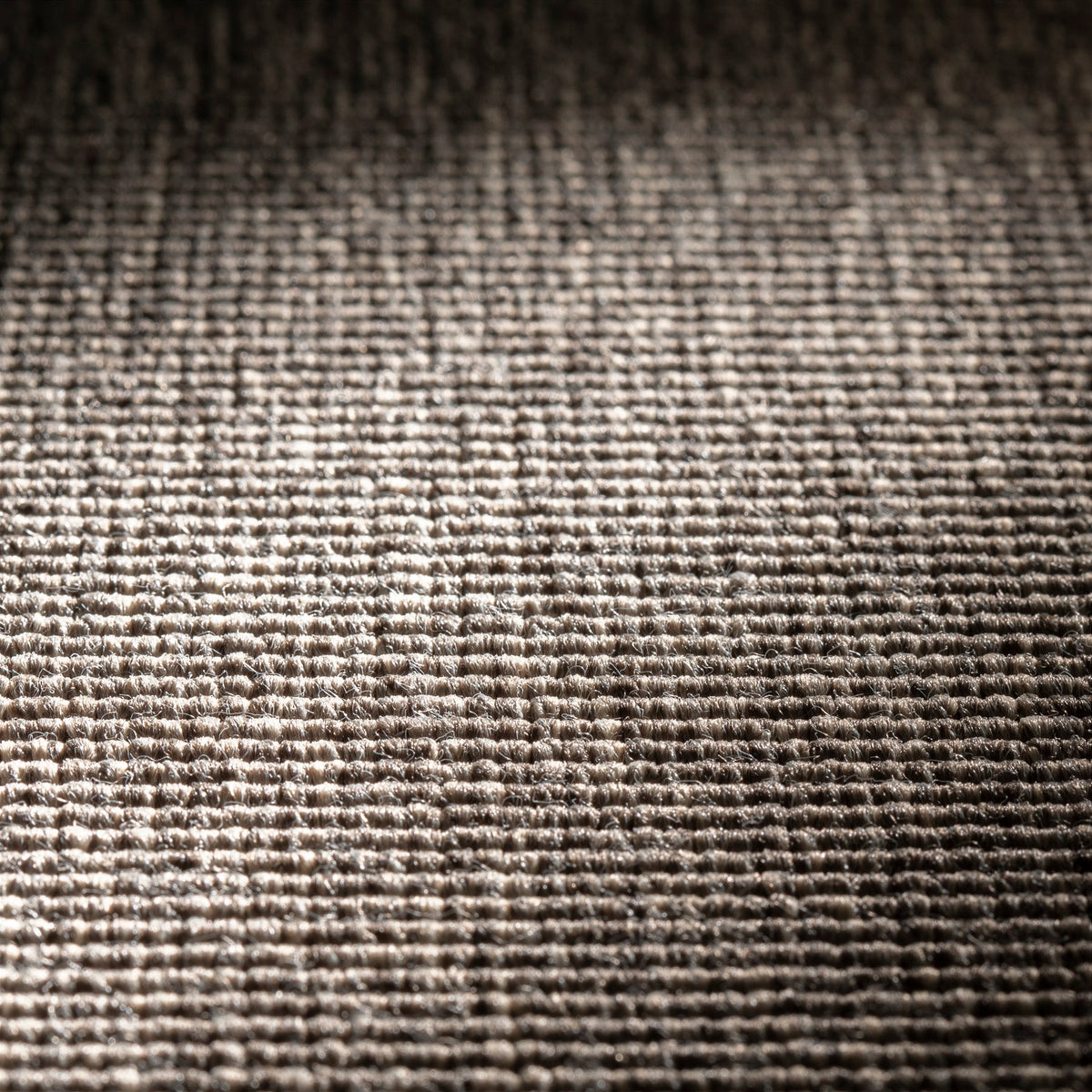 JAB Anstoetz Chill Teppichboden | Farbe: Grau Hell (421) | Raumansicht
