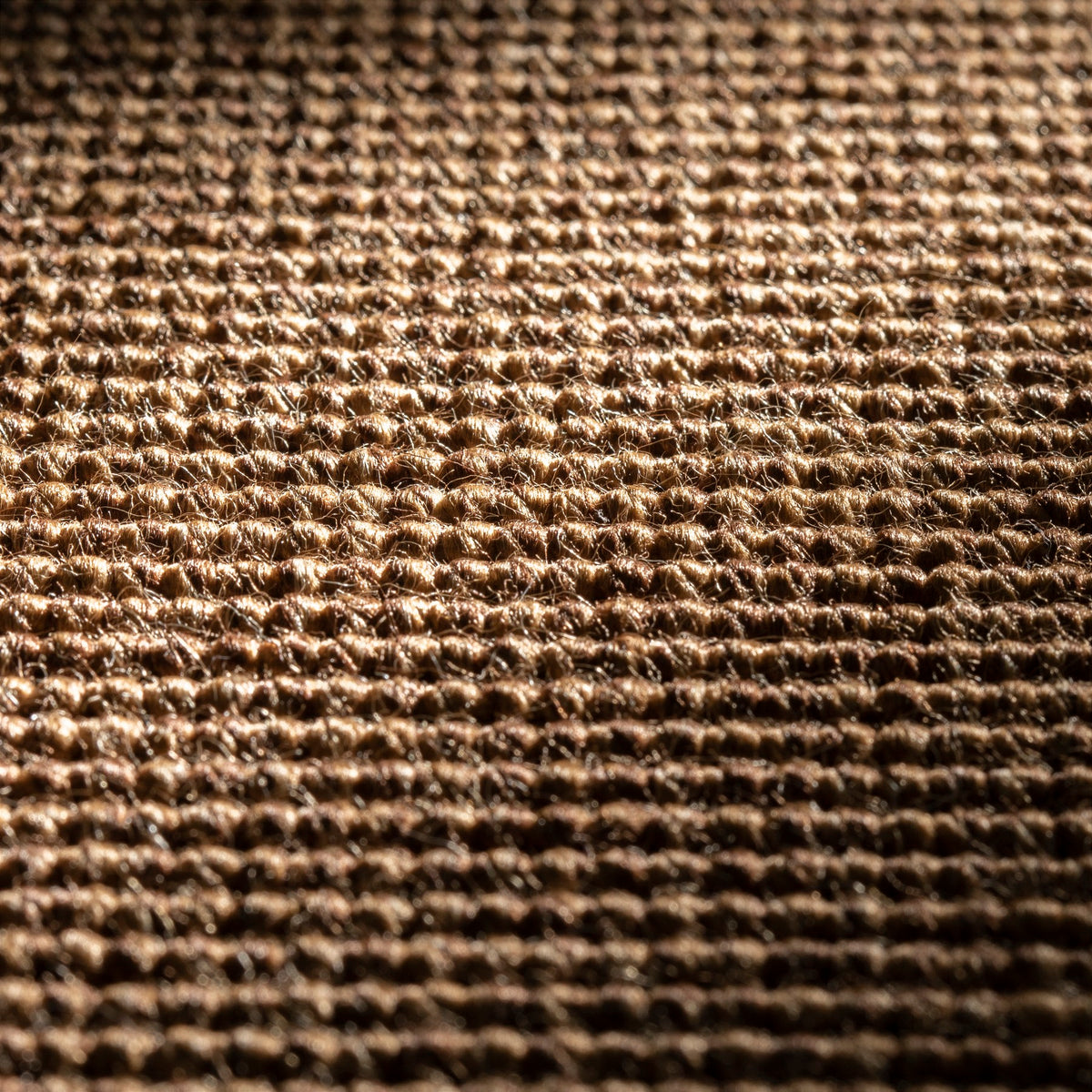 JAB Anstoetz Oasis Teppichboden | Farbe: Braun (428) | Raumansicht