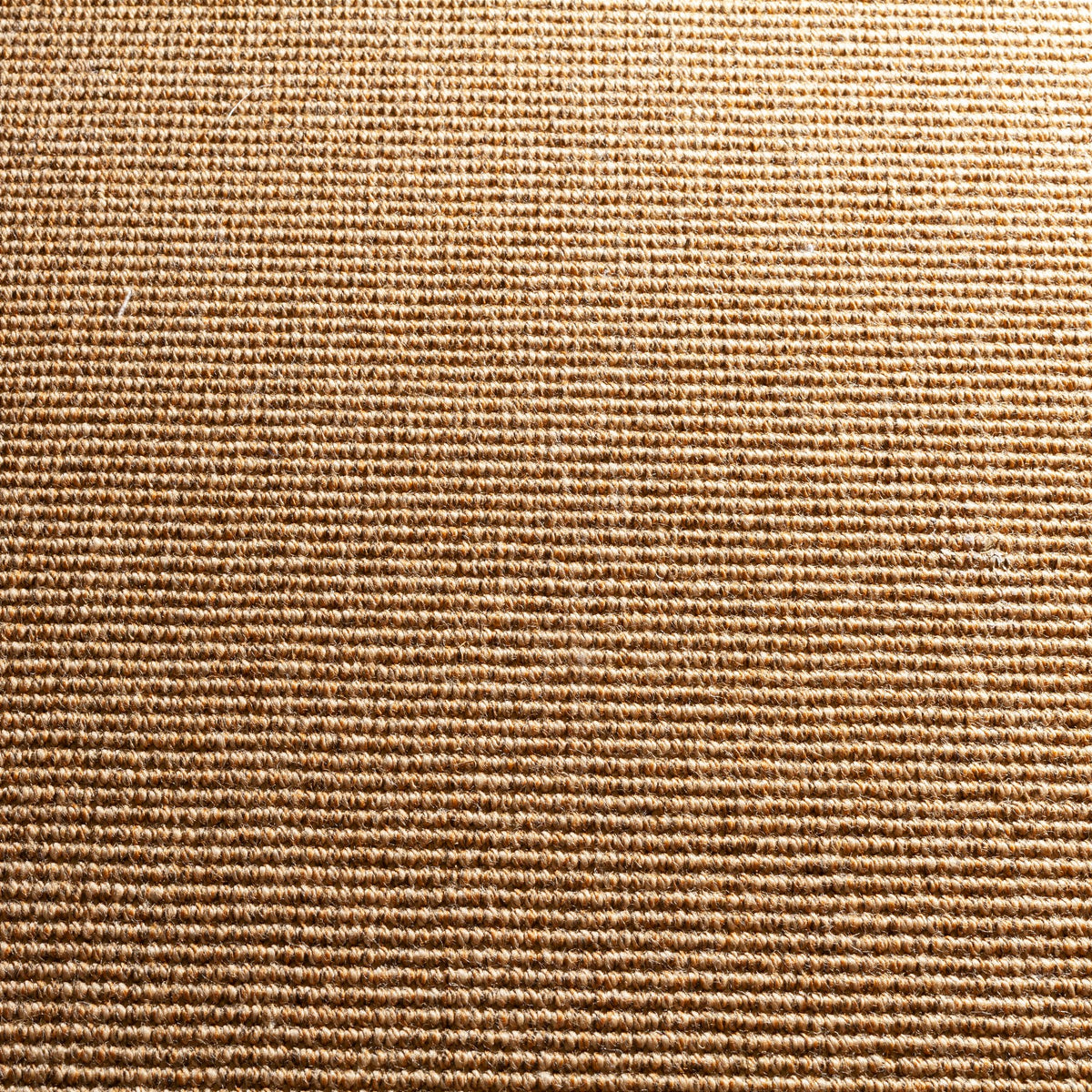 JAB Anstoetz Oasis Teppichboden | Farbe: Nougat (443)