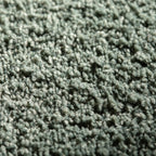JAB Anstoetz Legend Teppichboden | Farbe: Grau (333) | Raumansicht