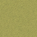 Oliv (4D61)