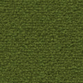 Moosgrün (4G76)