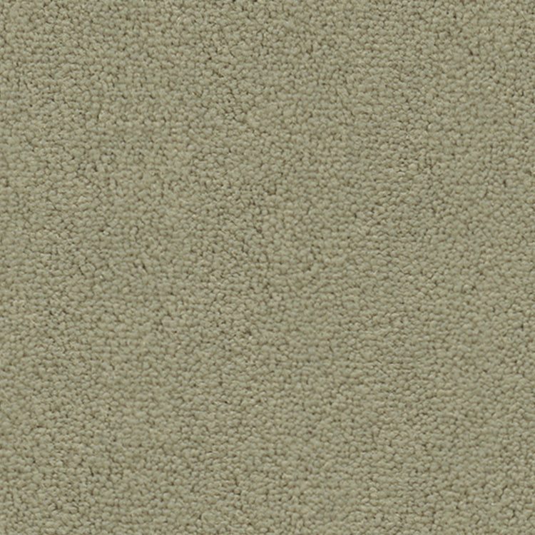 Vorwerk Barista Teppich nach Maß | Farbe: Taupe (4G96)