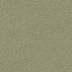 Taupe (4G96)