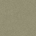 Taupe (4G96)