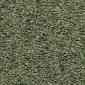 Moosgrün (4H34)