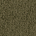 Dunkeloliv (4H80)