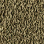 Vorwerk Alba Teppichboden | Farbe: Dunkeloliv (4H84)