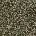 Dunkeloliv (4H93)