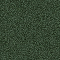 Tannengrün (4J00)
