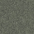 Moosgrau (4J20)